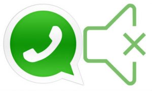 WhatsApp bildirim kapatma