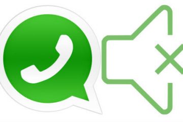WhatsApp bildirim kapatma