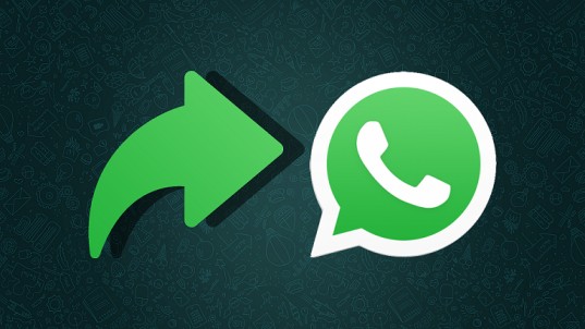Whatsapp Mesajlarını Başka Telefona Yönlendirme